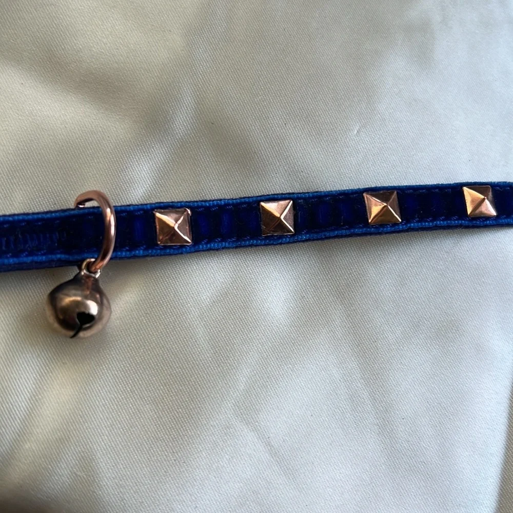 Cat Collar- Royal Blue Velvet & Rose Gold Cat Collar